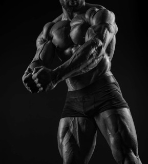 Muscular male torso. Perfect fit