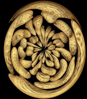 Peanuts round distortion effect on black background