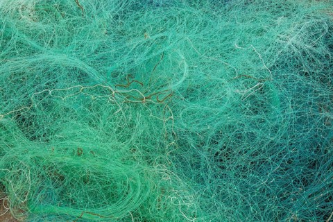 Fishing nets
