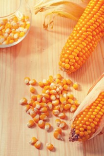 Ears of corn on wooden boards instagram style