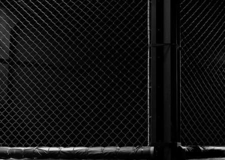 Image of an octagon. Concept of boxing
