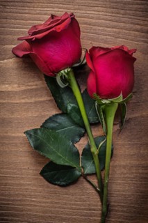 Fragrant red rosebuds on wooden board holiday concept