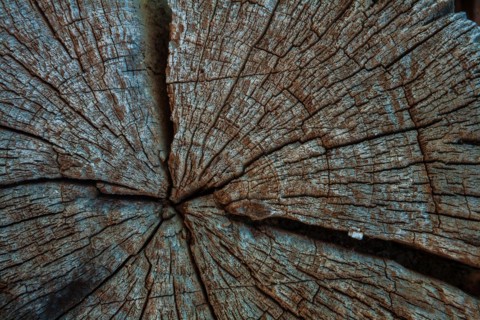 Sawing off an old