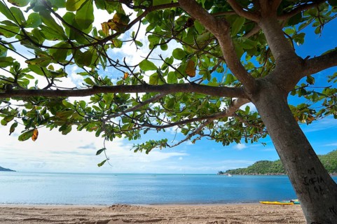 Beach with tree shade