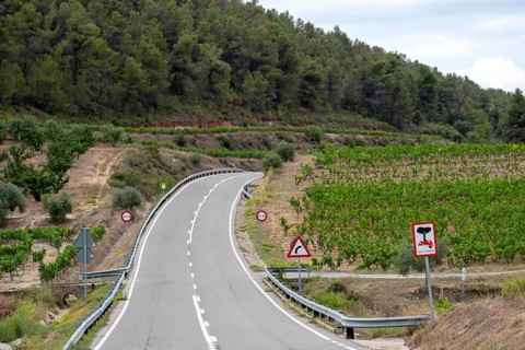 Country road between the vineyards of the Priorat designation of origin area in the province of Tarragona in Catalonia in Spain