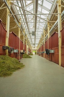 Horse stables