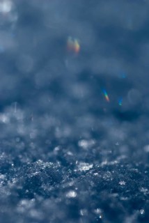 Shiny snow crystals