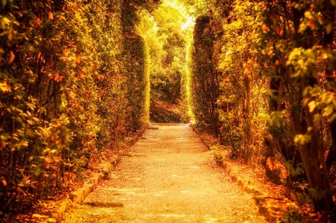Mystical sunny alley in the Boboli Gardens. The concept of tourism