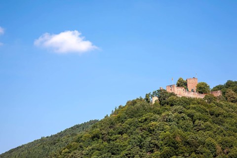 Landeck Castle Ruin