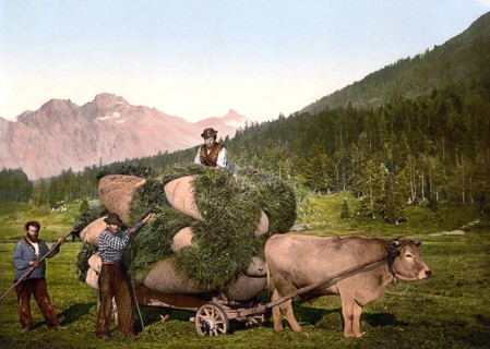 Agriculture