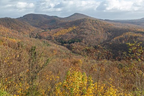 Mountains