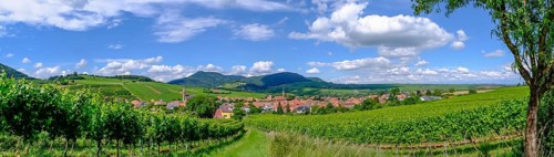 View of Birkweiler