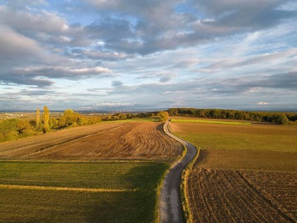 Aerial view of a field path on the Grossauerhoehe in the evening light