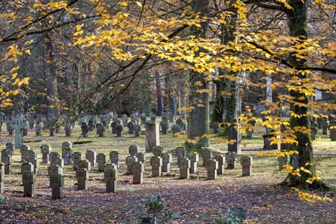 Cemetery for fallen soldiers of the world wars