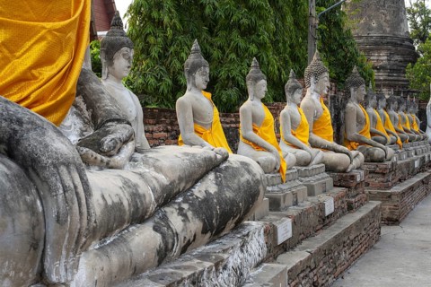 Buddha statues around the Great Chedi Chaya Mongkol