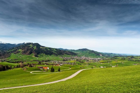 Hilly landscape in Appenzellerland with farms and green meadows