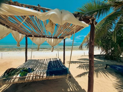 A hammock under a canopy flanked by palm trees invites relaxation on a sunny beach