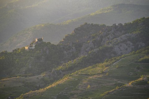 View of the Duernstein ruins