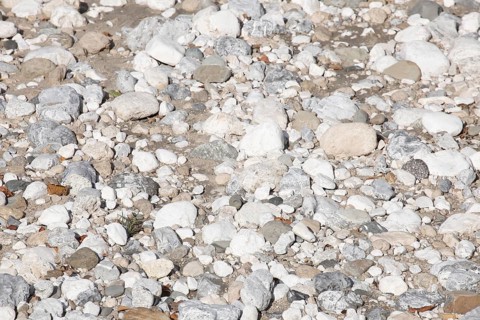 White pebbles as floor covering