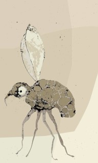 Grunge mosquito