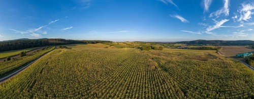 Aerial view corn field St.Veit