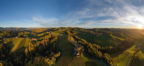 Aerial view of vineyards in the morning light