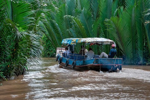Boat between water palms