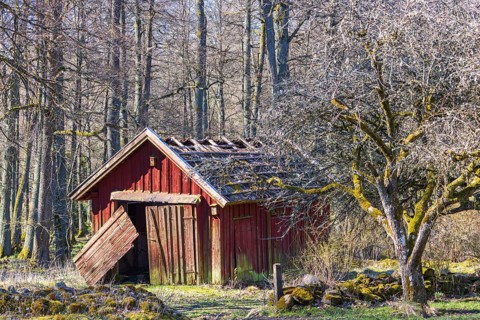 Old red wooden shed in bad condition by a stone wall at a farm in the forest