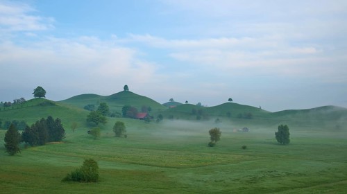 Green moraine hills landscape with meadows and lime trees with morning fog and cloudy sky