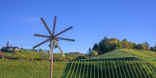 Klapotetz and vineyards