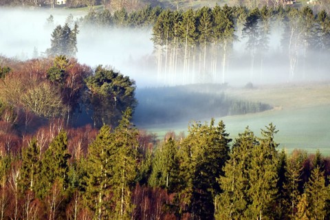 Hunsrueck landscape with forest and meadows on the edge of the Hunsrueck-Hochwald National Park with fog on an early winter morning