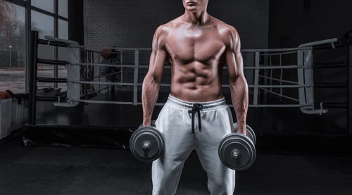 Handsome young man working out with dumbbells in the gym. Shoulder pumping. Fitness and bodybuilding concept.