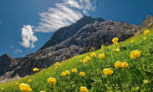 A summery mountain landscape with blue sky