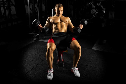 Professional athlete makes an exercise on the biceps by lifting dumbbells while sitting on the bench. View from above