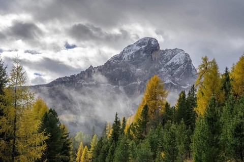Peitlerkofel and autumnal larch forest