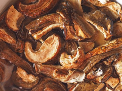 Porcini