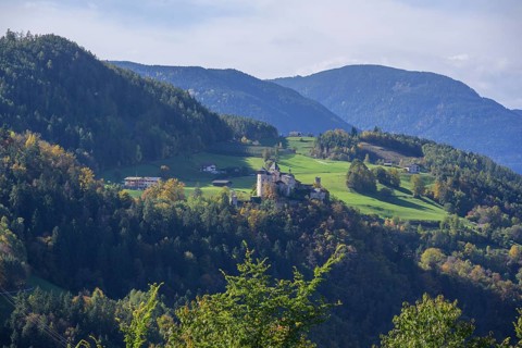 View of Proesels Castle