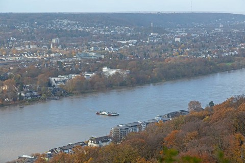 Rhine Ferry