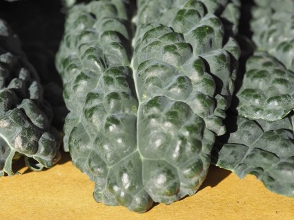 Black kale vegetables food