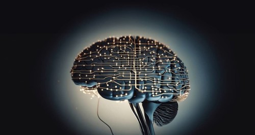 Connecting the brain to a microcircuit and processor chip
