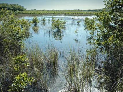 Lagoon