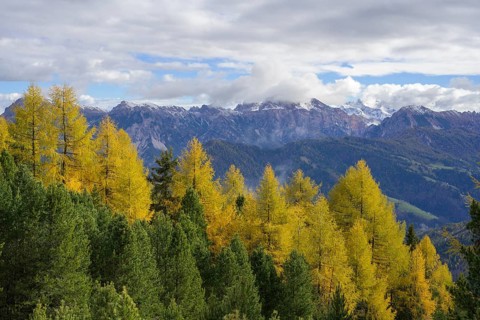 Mountains of the Fanes nature park Park and autumnal larch forest
