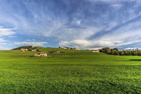 Hilly landscape in Appenzellerland with farms