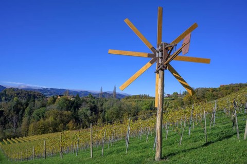 Klapotetz and vineyards