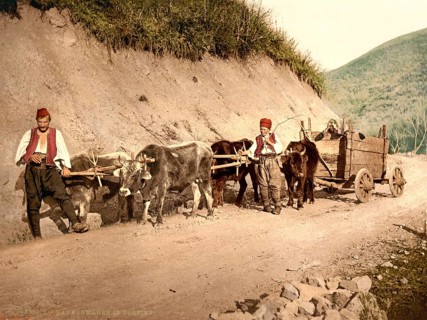 Peasant cart
