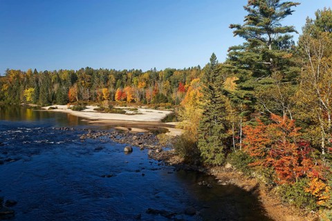 Nature