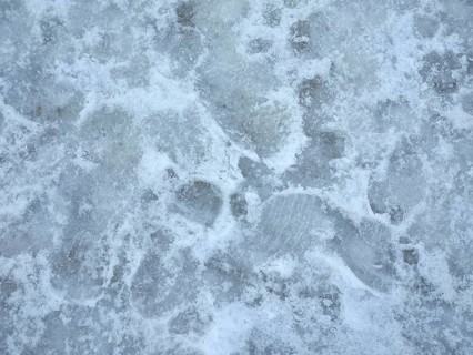 White ice texture background