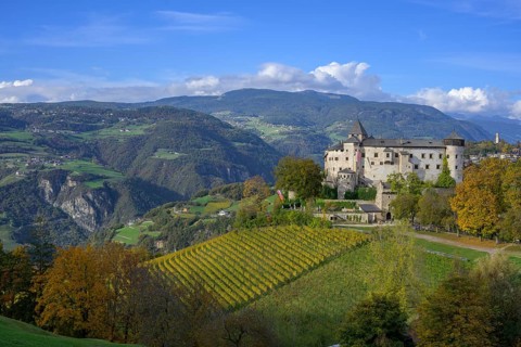 Castle Proesels
