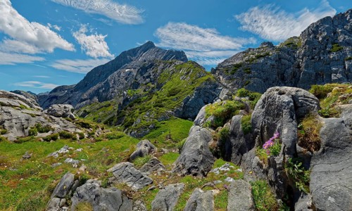 An idyllic mountain scenery with green meadows and jagged rocks under a blue sky with clouds