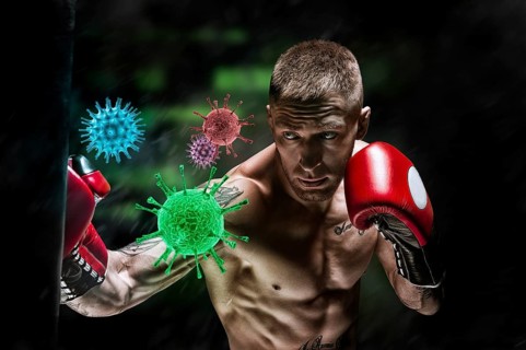Boxer hits the bag and the coronavirus flies out. Sport vs epidemic. Healthy lifestyle concept.